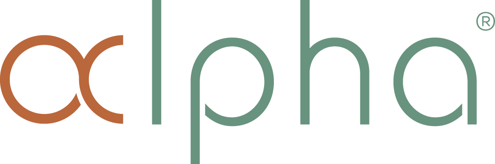 Alpha dot net business site homepage logo.